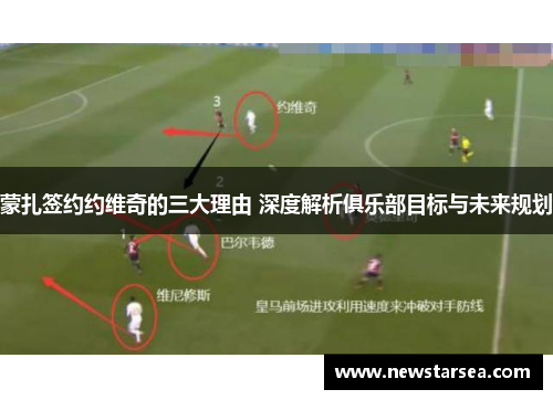 蒙扎签约约维奇的三大理由 深度解析俱乐部目标与未来规划